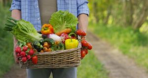 promovare produse bio