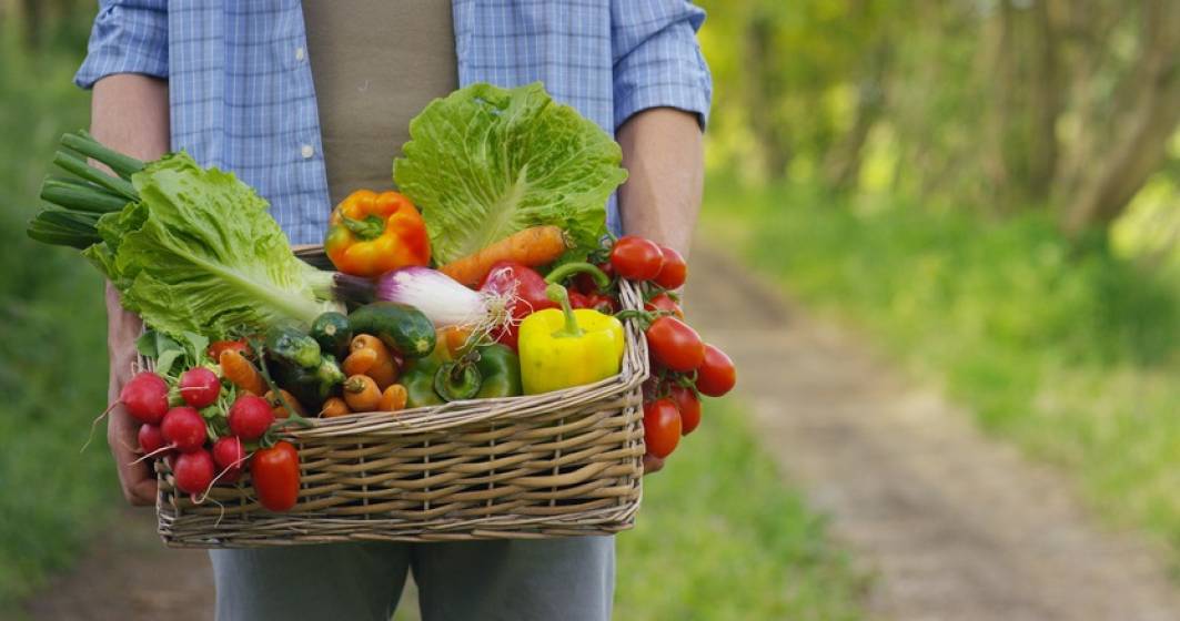 promovare produse bio