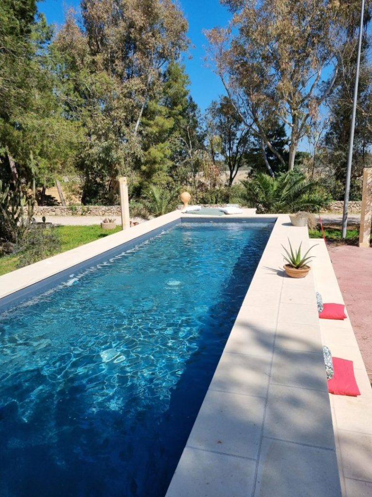 Petra Country House: Relax with Olive Tree Views